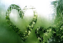 爱游戏-勇士观众热烈欢呼！，西亚卡姆迎来三赛季出色发挥再创辉煌时刻的简单介绍