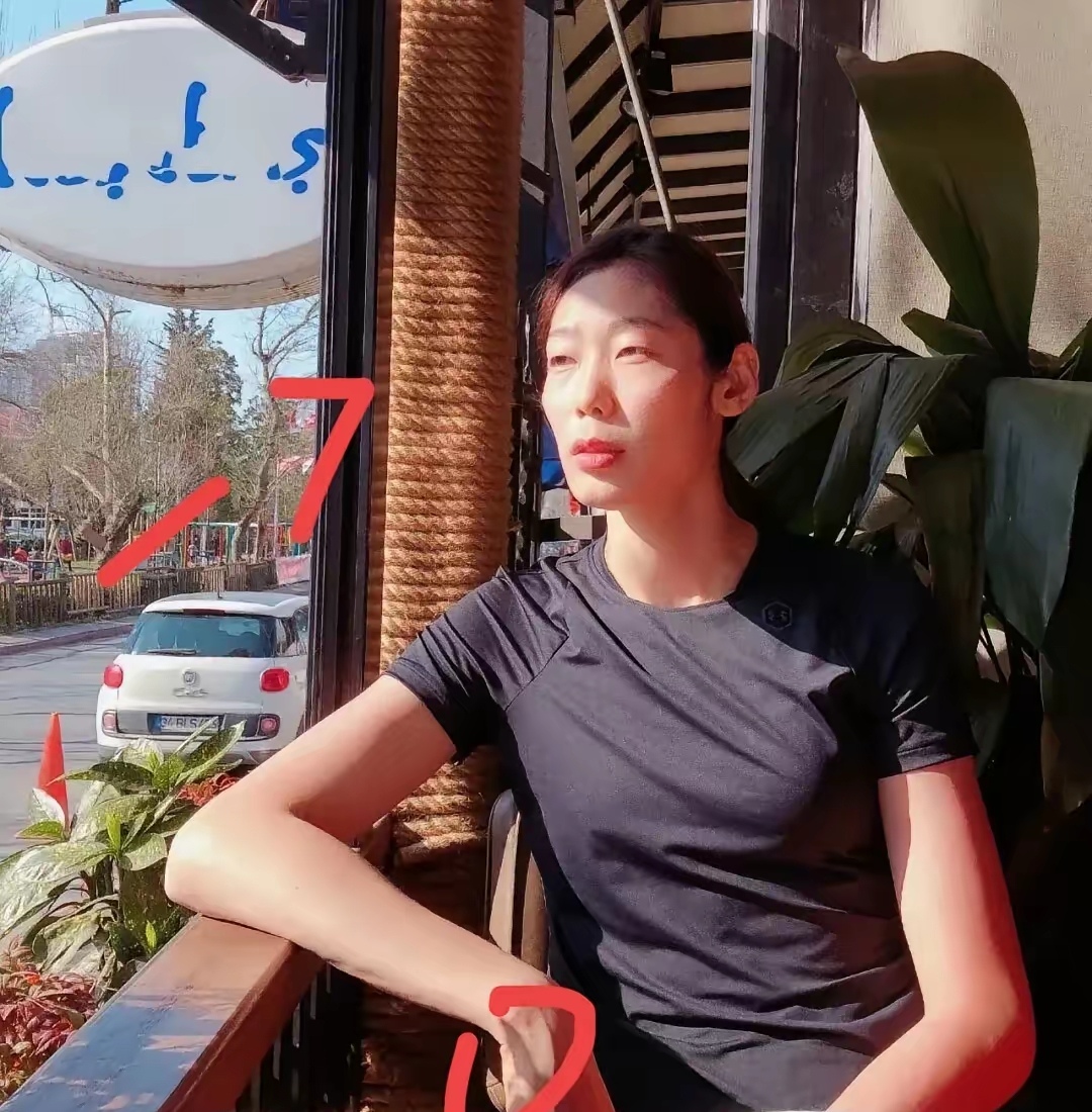 瑞士队教练压力巨大！，科维托娃遭遇二十持续失利引发球迷热议的简单介绍